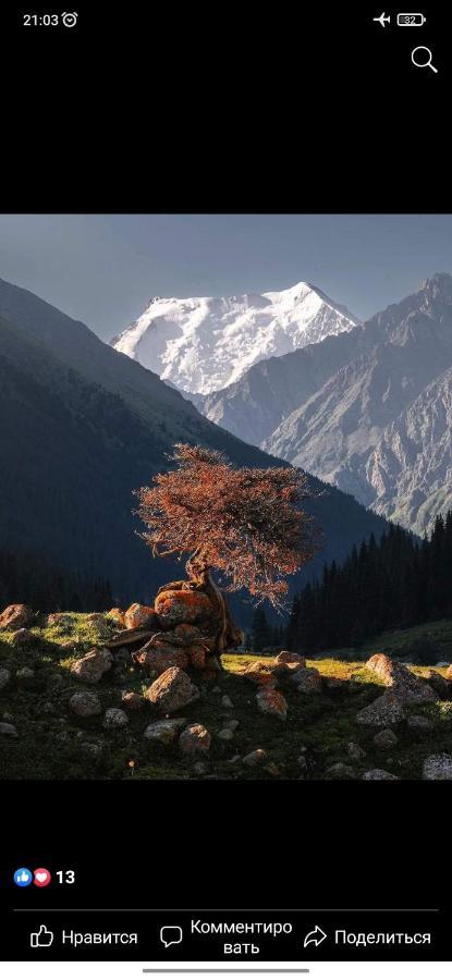 Ala-Kul Guesthouse In Altyn-Arashan カラコル エクステリア 写真