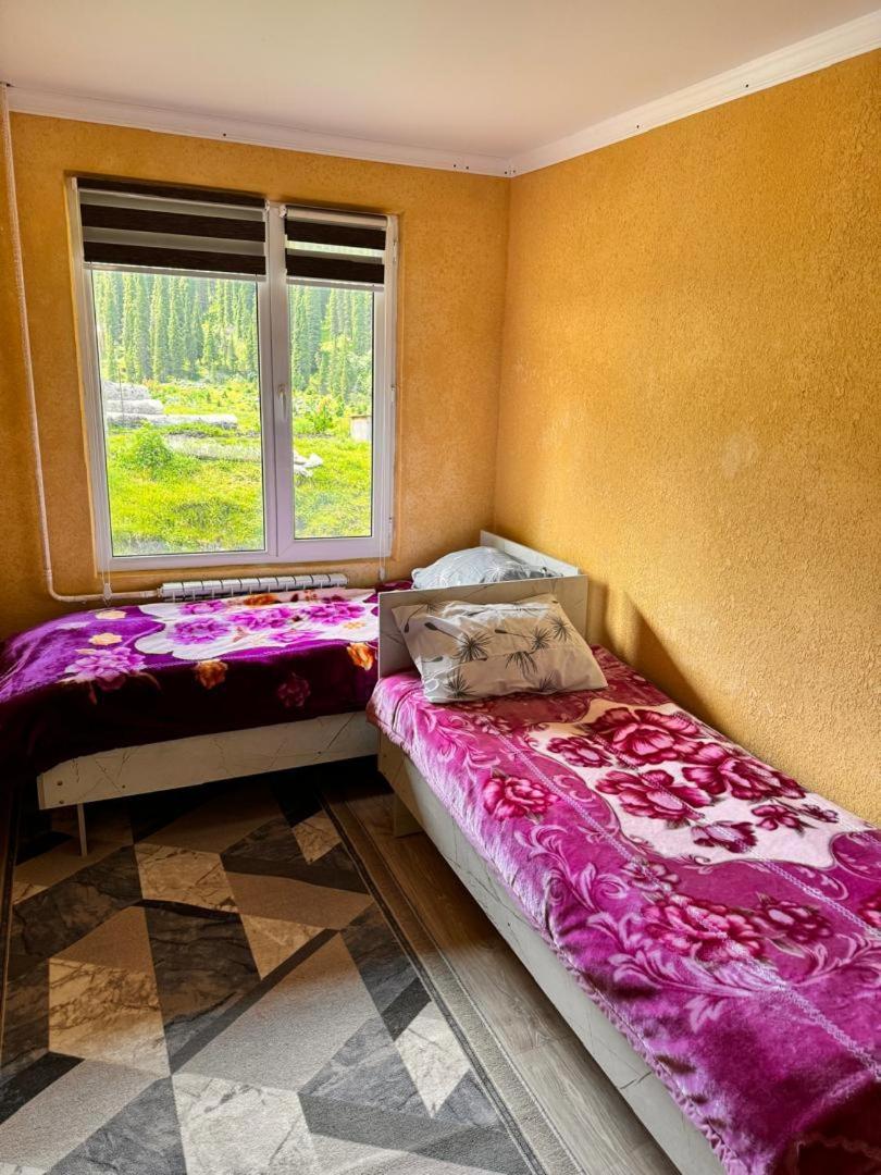 Ala-Kul Guesthouse In Altyn-Arashan カラコル エクステリア 写真