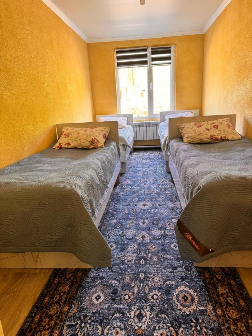 Ala-Kul Guesthouse In Altyn-Arashan カラコル エクステリア 写真