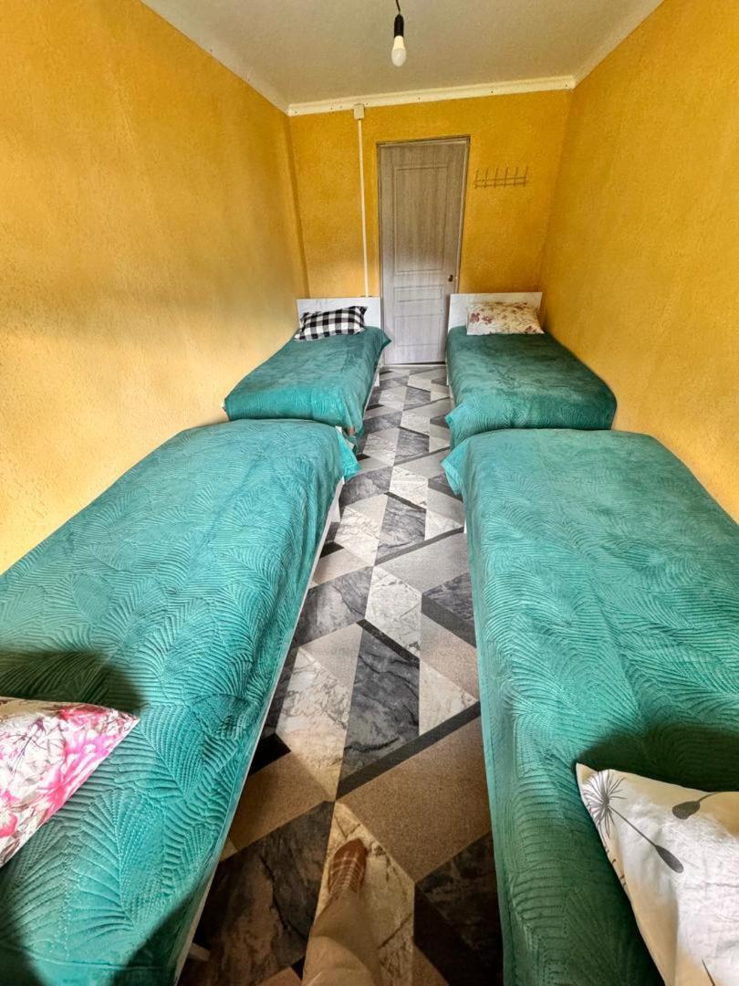 Ala-Kul Guesthouse In Altyn-Arashan カラコル エクステリア 写真