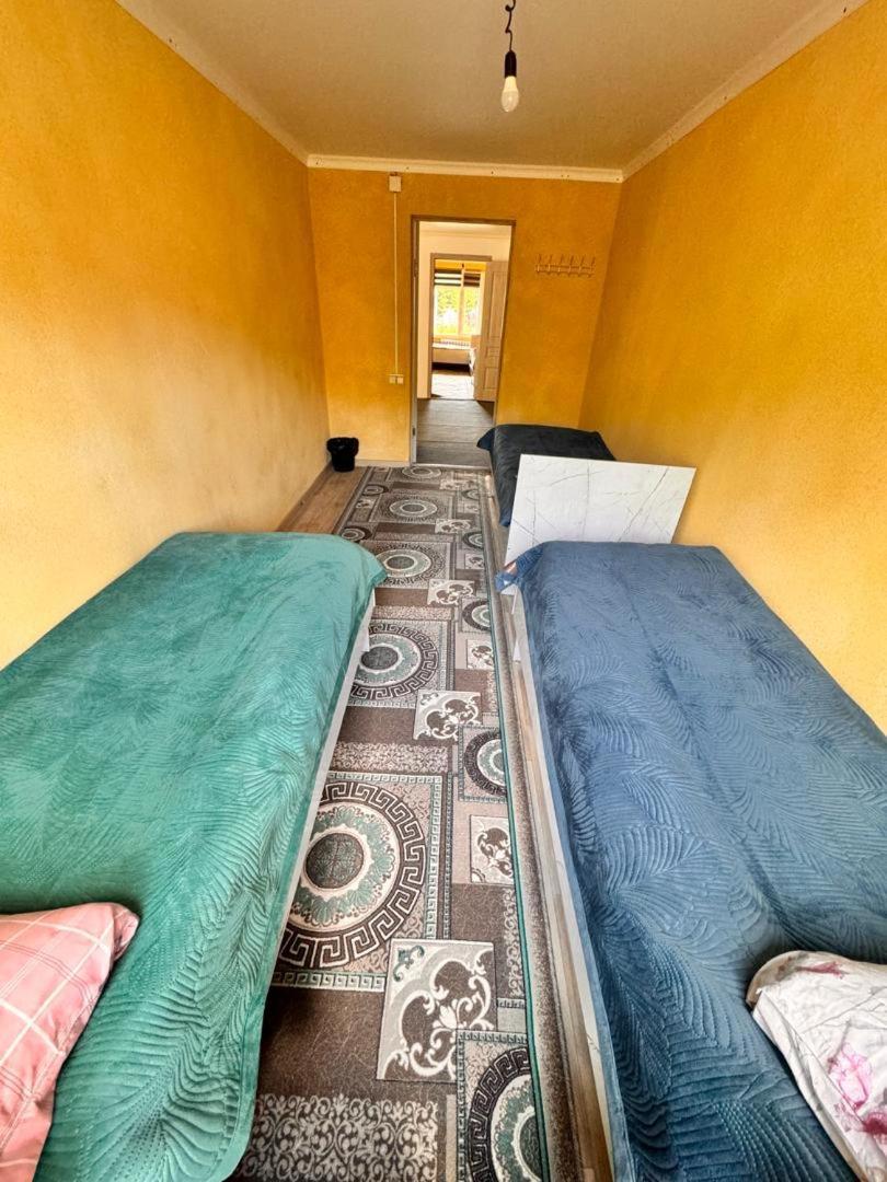 Ala-Kul Guesthouse In Altyn-Arashan カラコル エクステリア 写真