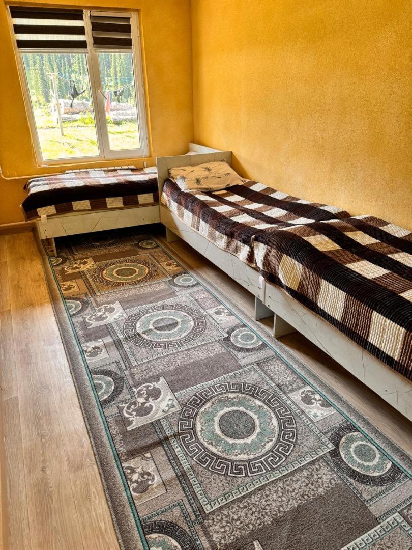 Ala-Kul Guesthouse In Altyn-Arashan カラコル エクステリア 写真