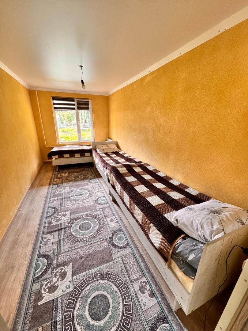 Ala-Kul Guesthouse In Altyn-Arashan カラコル エクステリア 写真