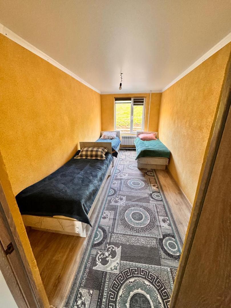 Ala-Kul Guesthouse In Altyn-Arashan カラコル エクステリア 写真