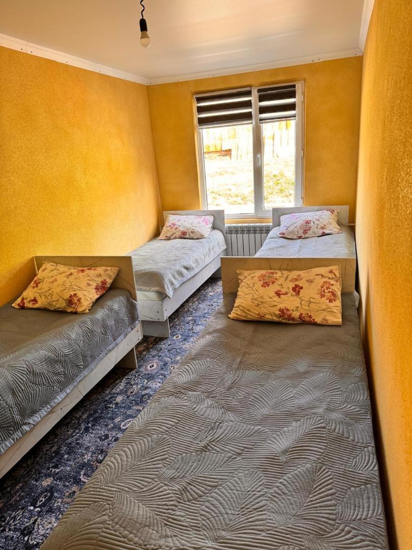 Ala-Kul Guesthouse In Altyn-Arashan カラコル エクステリア 写真