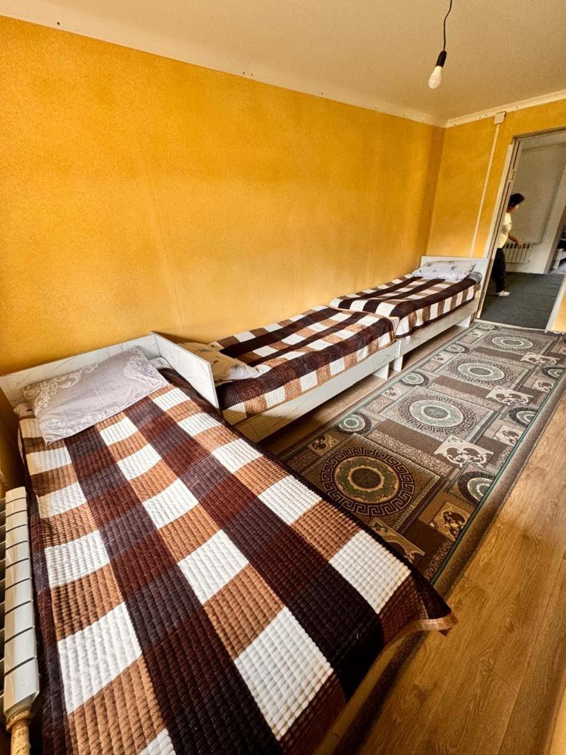 Ala-Kul Guesthouse In Altyn-Arashan カラコル エクステリア 写真