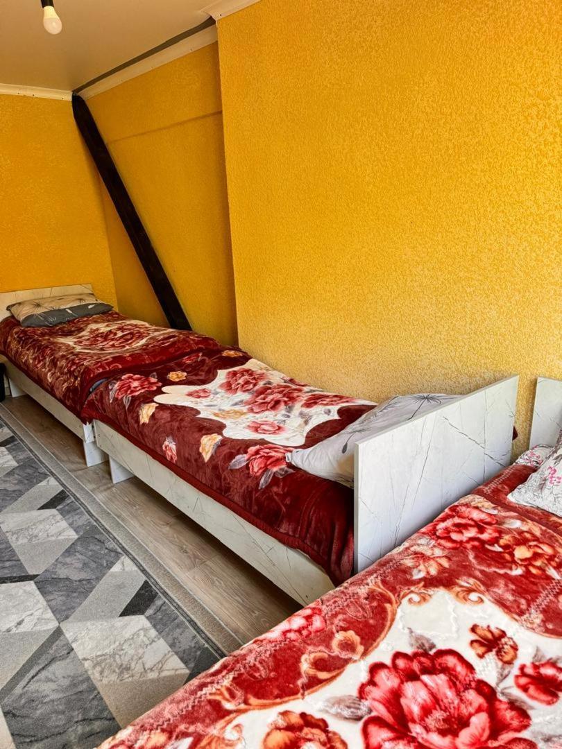 Ala-Kul Guesthouse In Altyn-Arashan カラコル エクステリア 写真